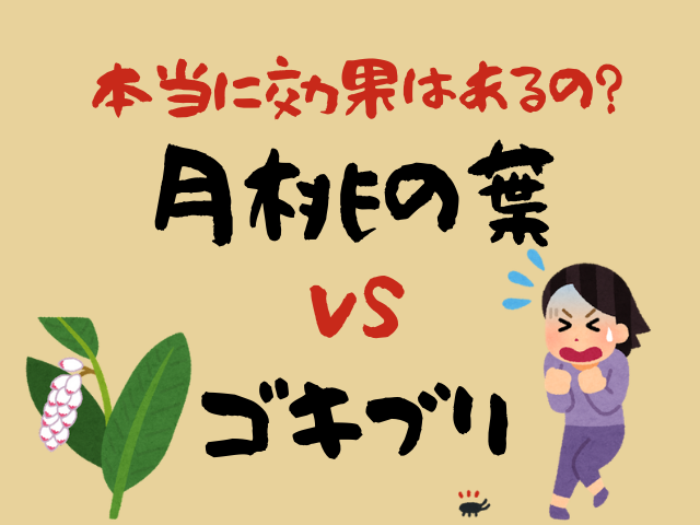月桃の葉でゴキブリ対策 効果と具体的な方法を解説します 沖縄めし 月桃の葉でゴキブリ対策 効果と具体的な方法を解説します 沖縄めし